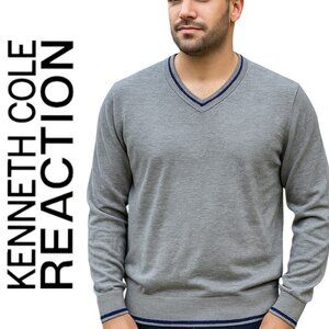 Kenneth Cole Reaction Men's L Large Heather Gray V-Neck Sweater Colorblock Blue